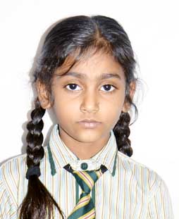 Dhanshikha